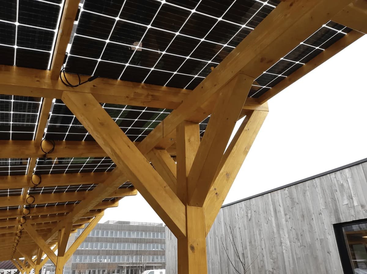 Holzcarport Solarmodule Photovoltaik Bifacial Holzunterkonstruktion Glas Glas Module-